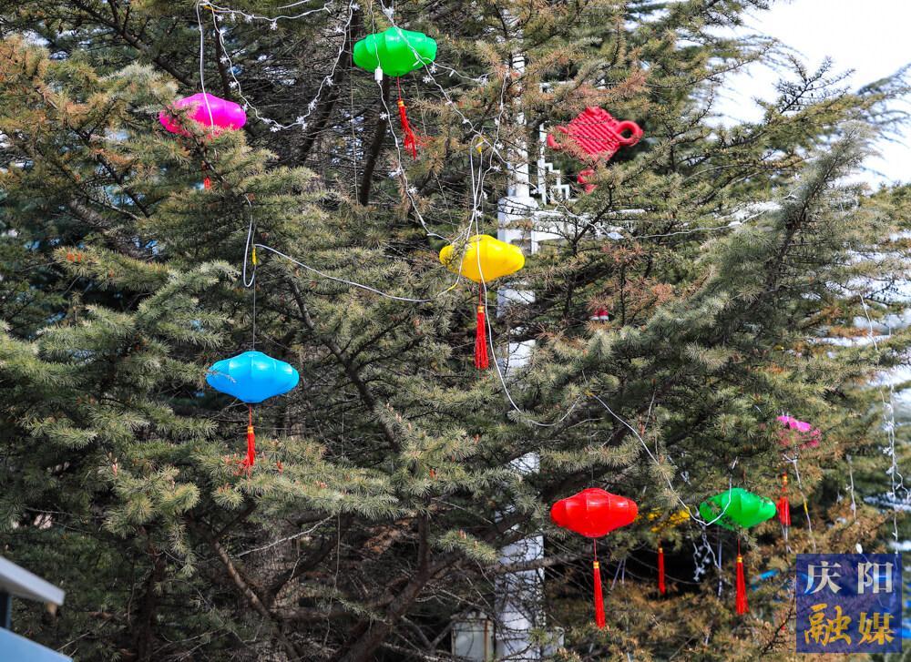 【攝影報道】春節臨近，西峰區主要街道陸續懸掛裝飾燈籠